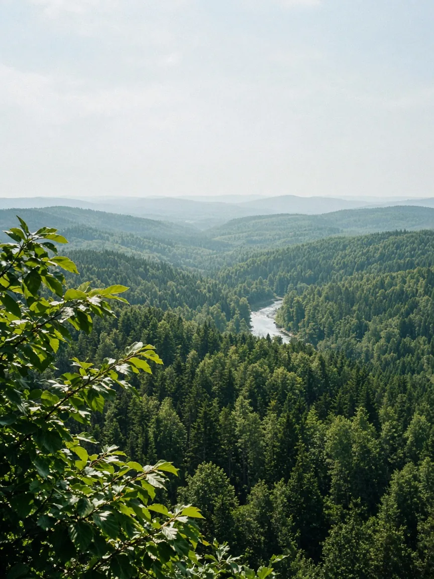 Bewaldete Hügel mit Fluss